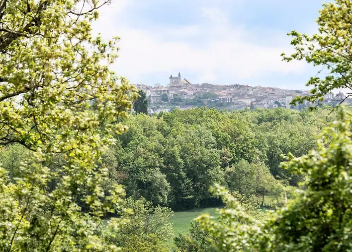 La Bouchonniere De Boulede * Monflanquin