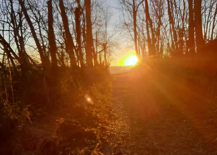 La Bouchonniere De Boulede * Monflanquin